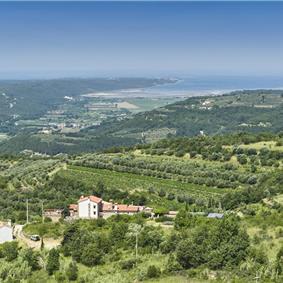 4 Bedroom Luxury Villa Retreat with Heated Infinity Pool near Buje, Sleeps 8-10
